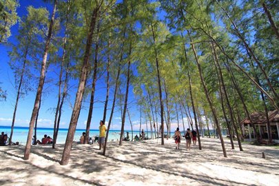 Bamboo island